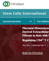 Stem Cells International封面